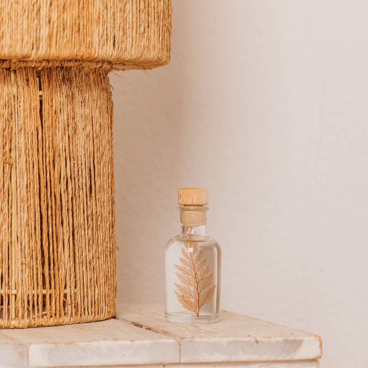 L'Herbarium Fougère Flocon - plante immergée