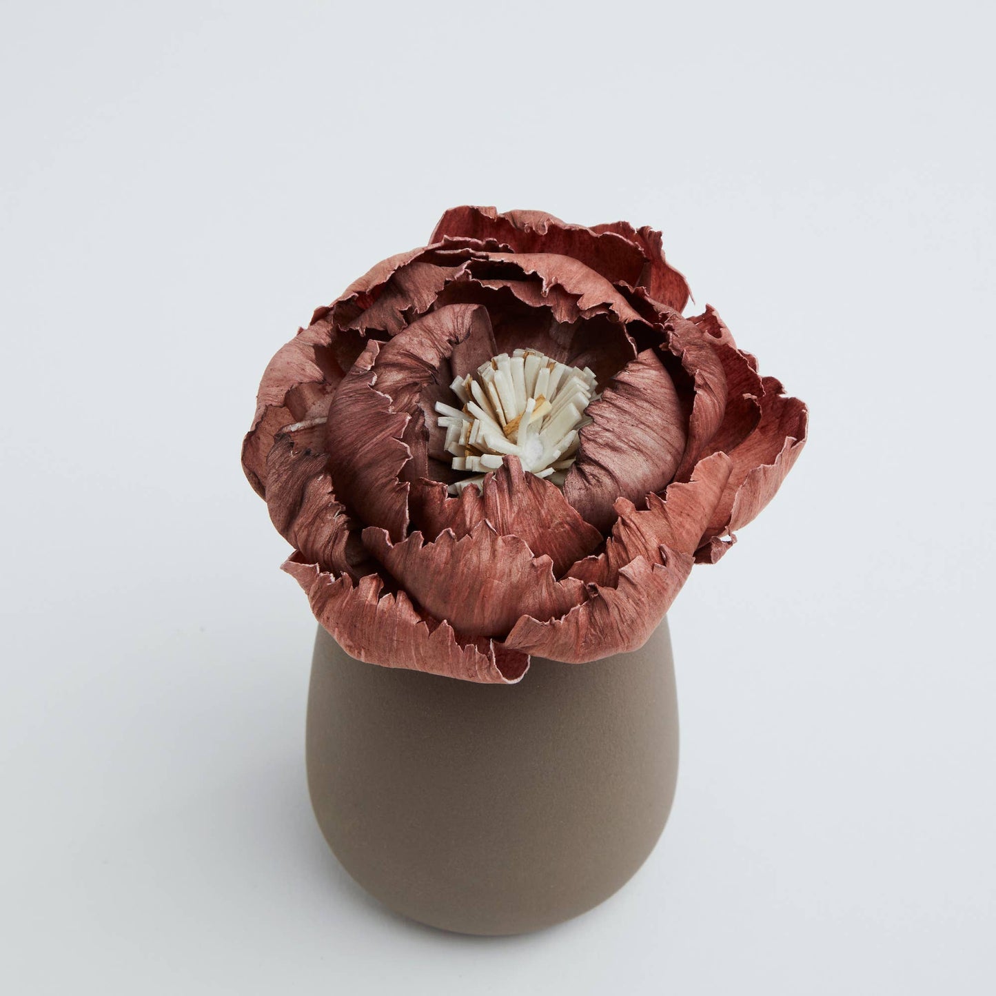 Diffuseur de parfum d'intérieur - Parfumeur CORALI Choco