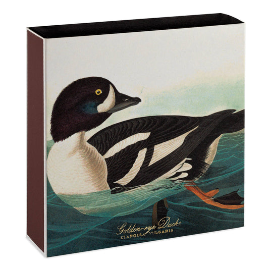 Le Garrot à œil d'or par Audubon | Carré - Allumettes de sûreté