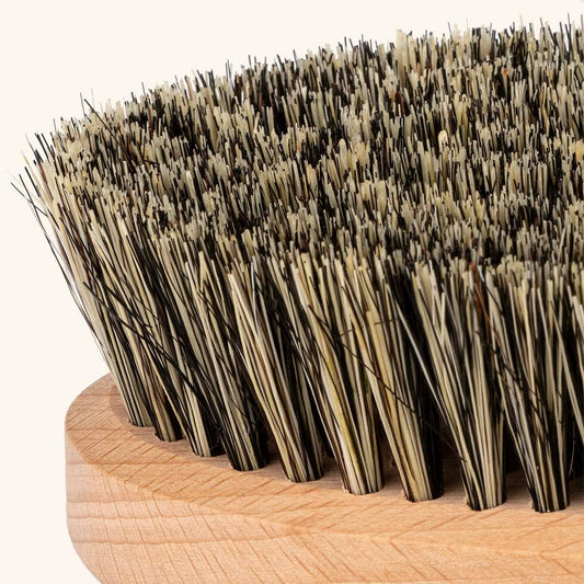 Brosse sèche 100 % naturelle - Brosse de bain et corps