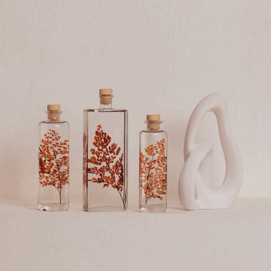 L'Herbarium Luthi Terracotta - plante immergée