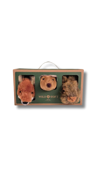 Coffret d'animaux