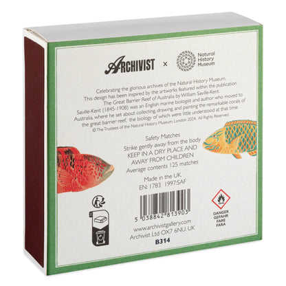 Musée d'Histoire Naturelle Poisson | Carré - Allumettes de Sécurité